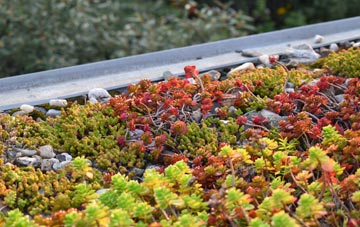 the cost of Broadwey green roof installation