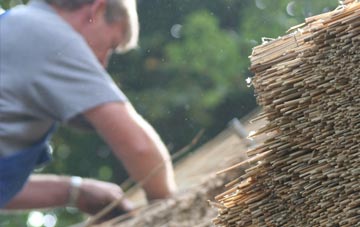 professional Broadwey thatchers